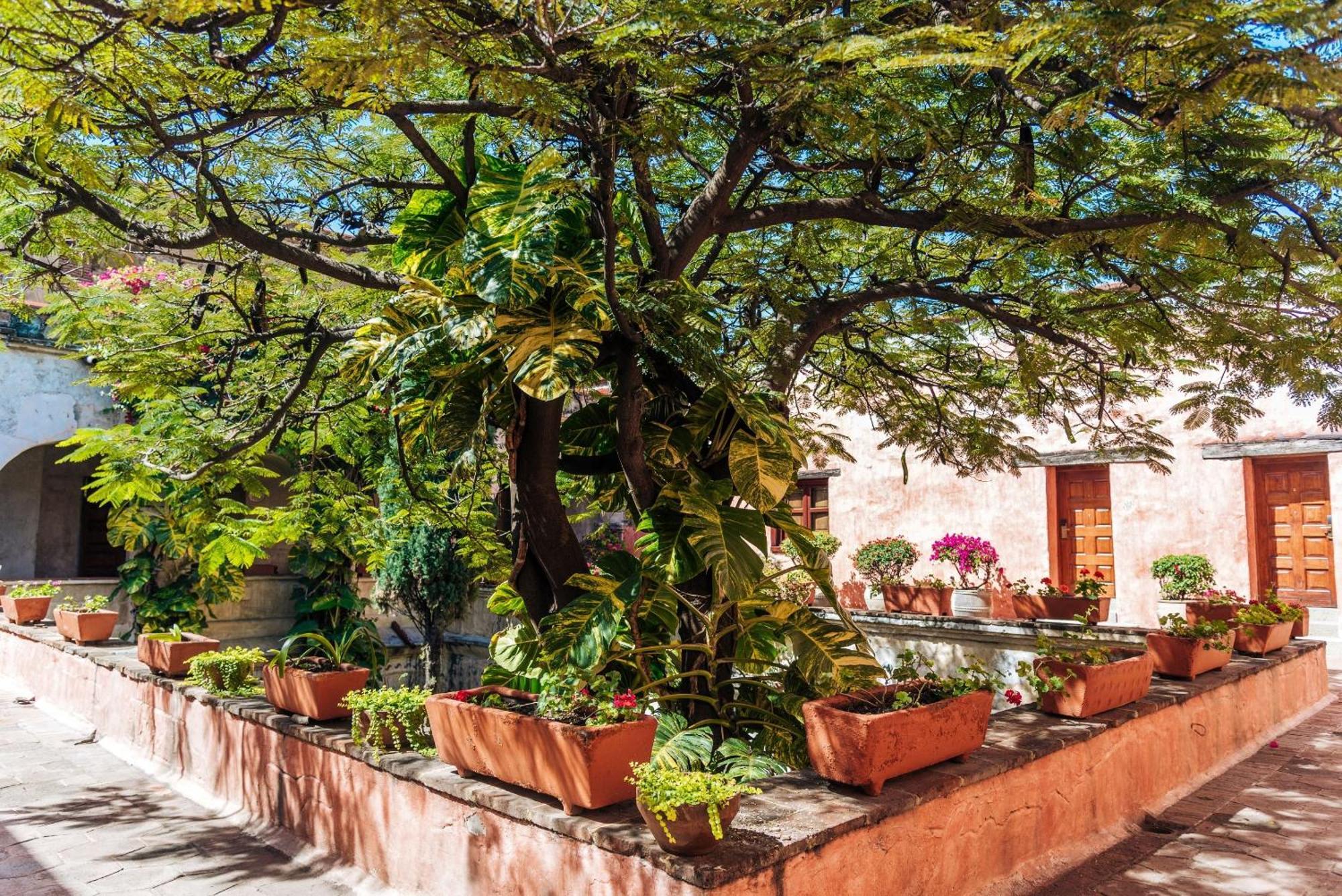 Quinta Real Hotel 5*